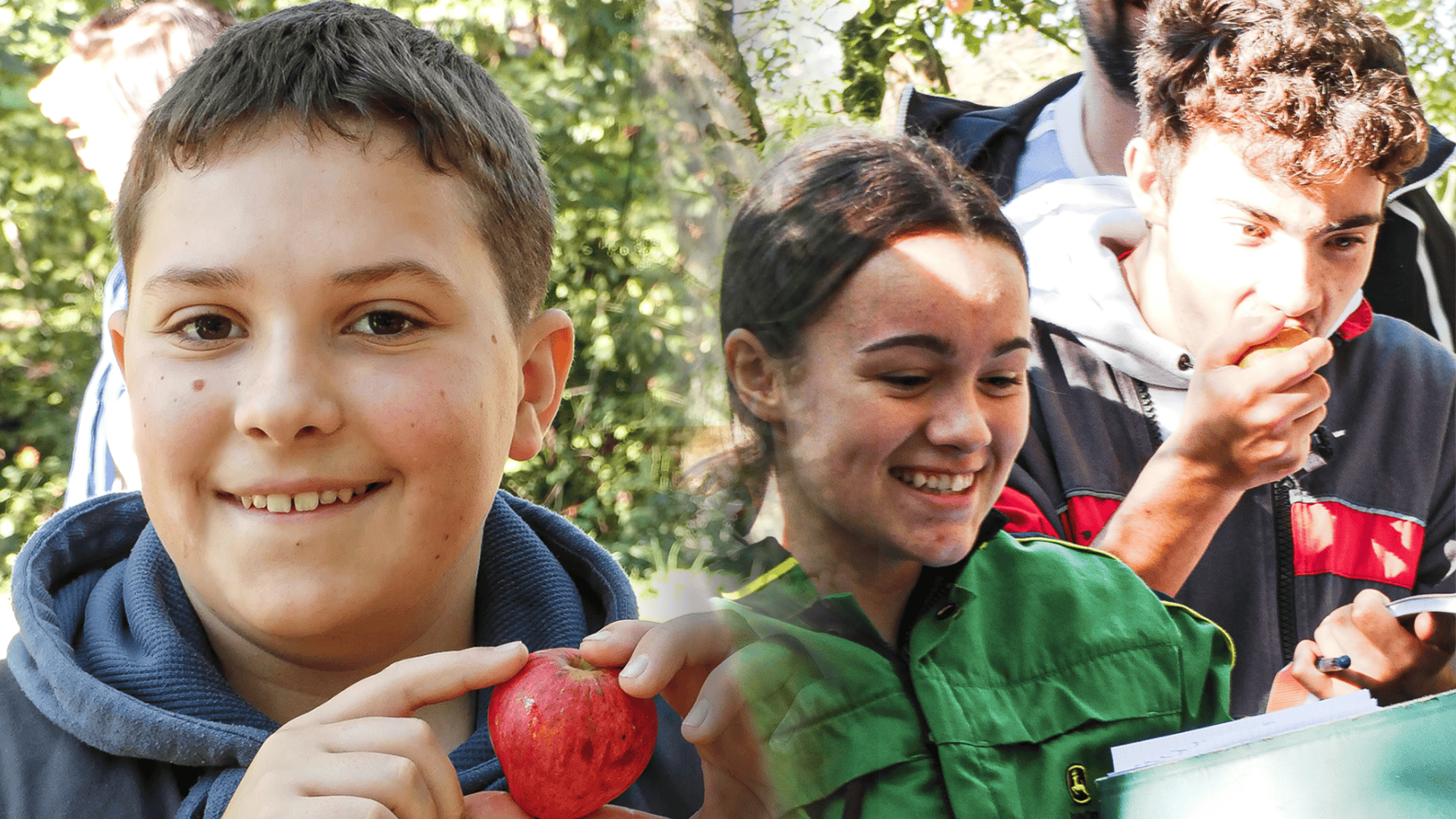 Formation_4è_3è_DNB